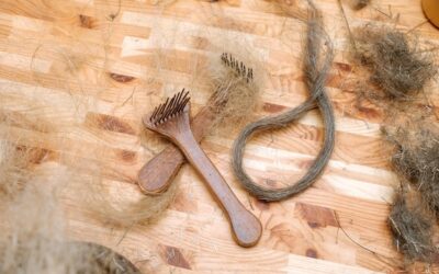 Jakie szczotki dla konia sprawdzą się podczas codziennej pielęgnacji?