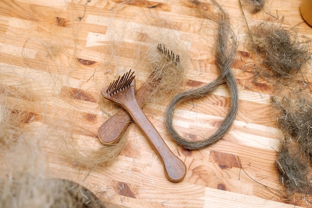 Jakie szczotki dla konia sprawdzą się podczas codziennej pielęgnacji?