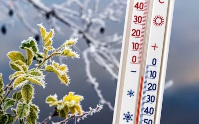 Temperatura 36 stopni co oznacza dla organizmu?