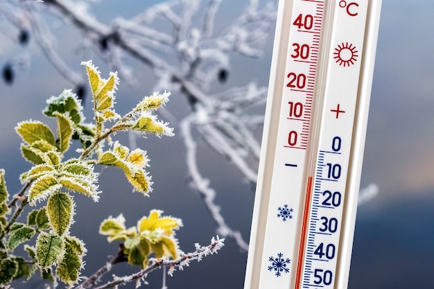 Temperatura 36 stopni co oznacza dla organizmu?
