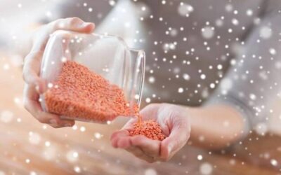 Pyłek jak stosować w codziennej diecie?