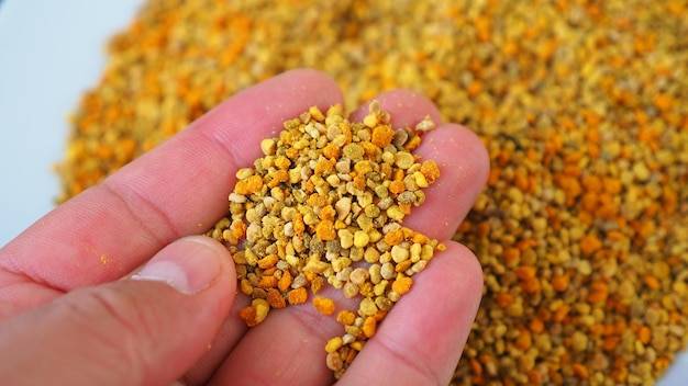 Pyłek pszczeli ile stosować aby wspierać zdrowie?