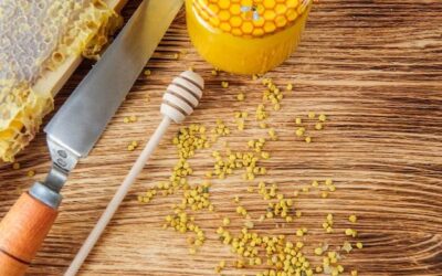 Pyłek pszczeli od jakiego wieku można podawać dzieciom?