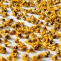 Jak wygląda pyłek pszczeli i jakie ma właściwości?