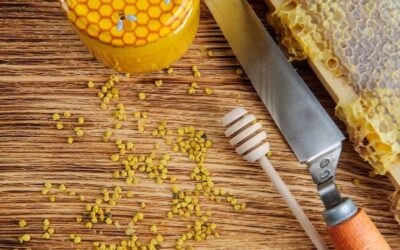 Jak przygotować pyłek pszczeli do codziennego spożycia?