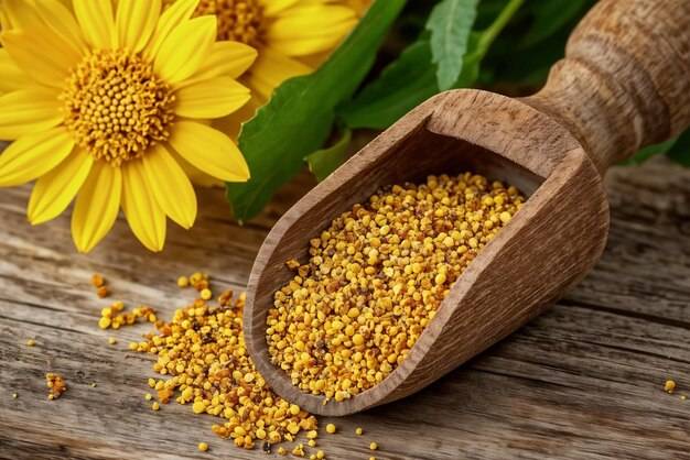 Pyłek kwiatowy do czego można go wykorzystać?