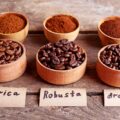 Kawa 100 arabica co to znaczy dla miłośników kawy?