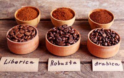 Kawa 100 arabica co to znaczy dla miłośników kawy?