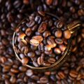 Czym się różni arabica od robusty w codziennej kawie?