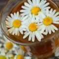 Na co jest dobra melisa i kiedy warto po nią sięgać?